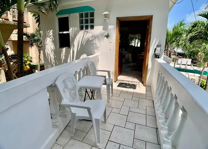 Belizian Reef * San Pedro (Ambergris Caye)