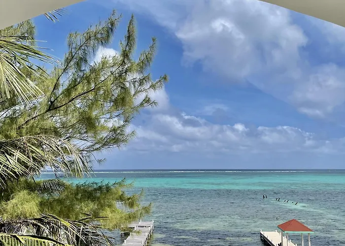 Apartment Belizian Reef