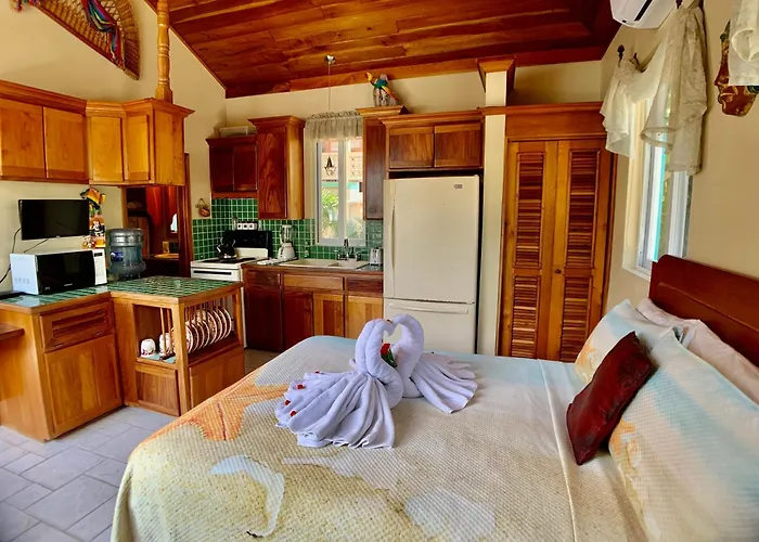Belizian Reef San Pedro (Ambergris Caye)